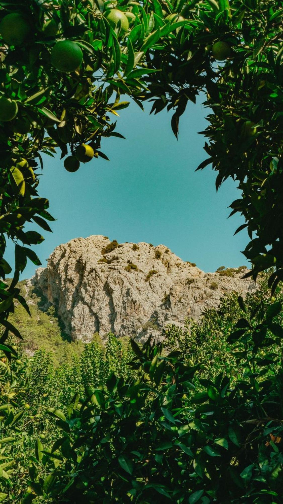 Sheriff, Olympos Kumluca Exteriör bild